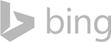 Bing Logo